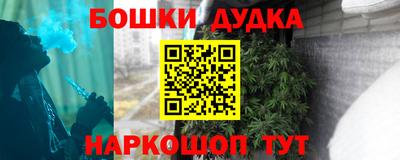 МДПВ Будённовск