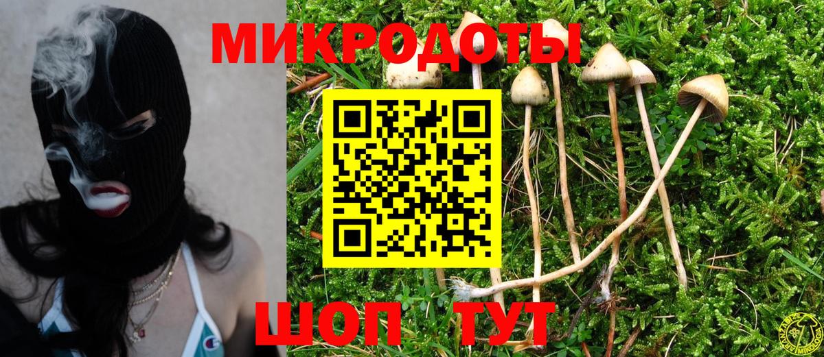 Псилоцибиновые грибы Magic Shrooms  Галлюциногенные грибы мухоморы  Северодвинск  Вход с VPN 